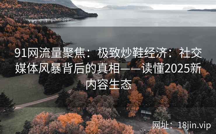 91网流量聚焦：极致炒鞋经济：社交媒体风暴背后的真相——读懂2025新内容生态  第2张