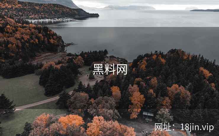 黑料网 第2张