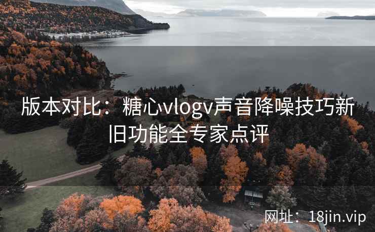 版本对比：糖心vlogv声音降噪技巧新旧功能全专家点评