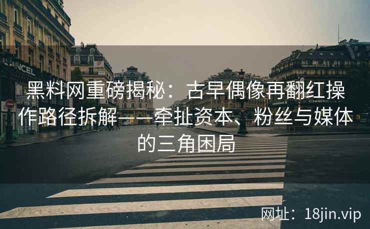 黑料网重磅揭秘：古早偶像再翻红操作路径拆解——牵扯资本、粉丝与媒体的三角困局