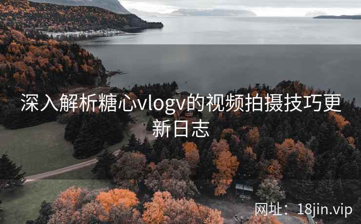 深入解析糖心vlogv的视频拍摄技巧更新日志