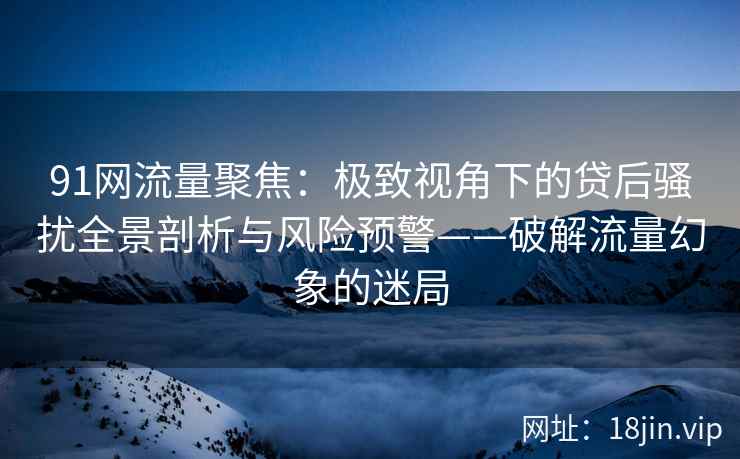 91网流量聚焦：极致视角下的贷后骚扰全景剖析与风险预警——破解流量幻象的迷局  第2张