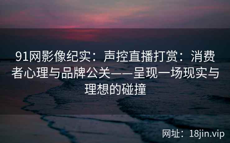 91网影像纪实：声控直播打赏：消费者心理与品牌公关——呈现一场现实与理想的碰撞  第2张