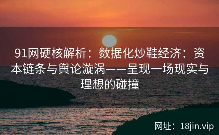 91网硬核解析：数据化炒鞋经济：资本链条与舆论漩涡——呈现一场现实与理想的碰撞  第2张