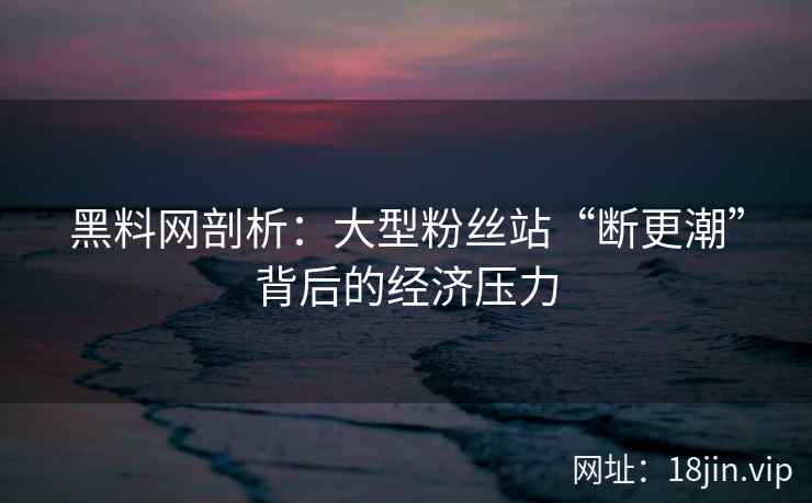 黑料网剖析：大型粉丝站“断更潮”背后的经济压力  第2张