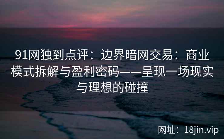 91网独到点评：边界暗网交易：商业模式拆解与盈利密码——呈现一场现实与理想的碰撞  第1张