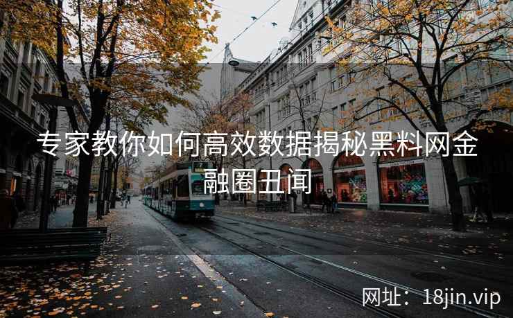专家教你如何高效数据揭秘黑料网金融圈丑闻
