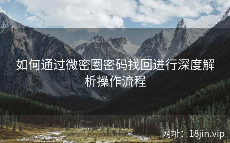 如何通过微密圈密码找回进行深度解析操作流程