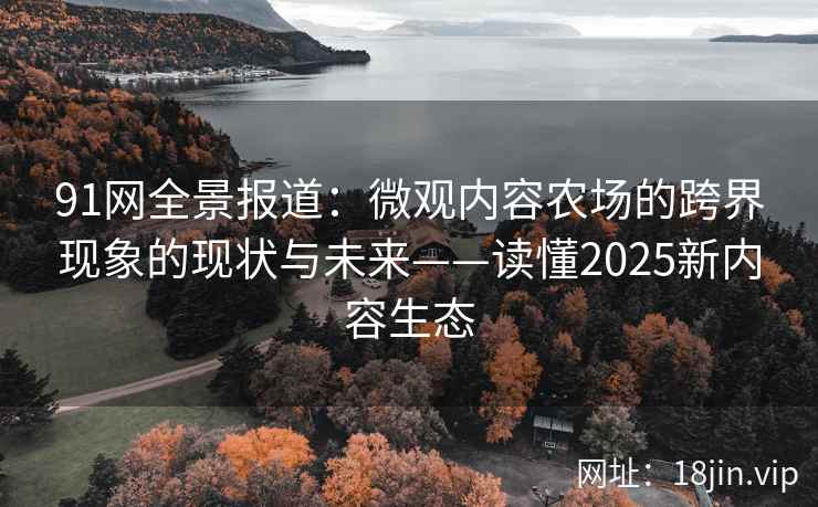 91网全景报道：微观内容农场的跨界现象的现状与未来——读懂2025新内容生态  第2张