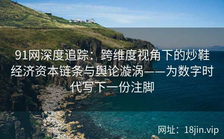 91网深度追踪：跨维度视角下的炒鞋经济资本链条与舆论漩涡——为数字时代写下一份注脚  第1张